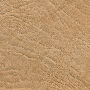 Бежевый (Боди) Бежевый (Боди)