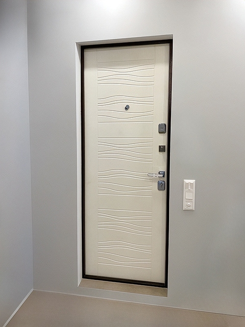 Входная дверь в квартиру Входная дверь в квартиру