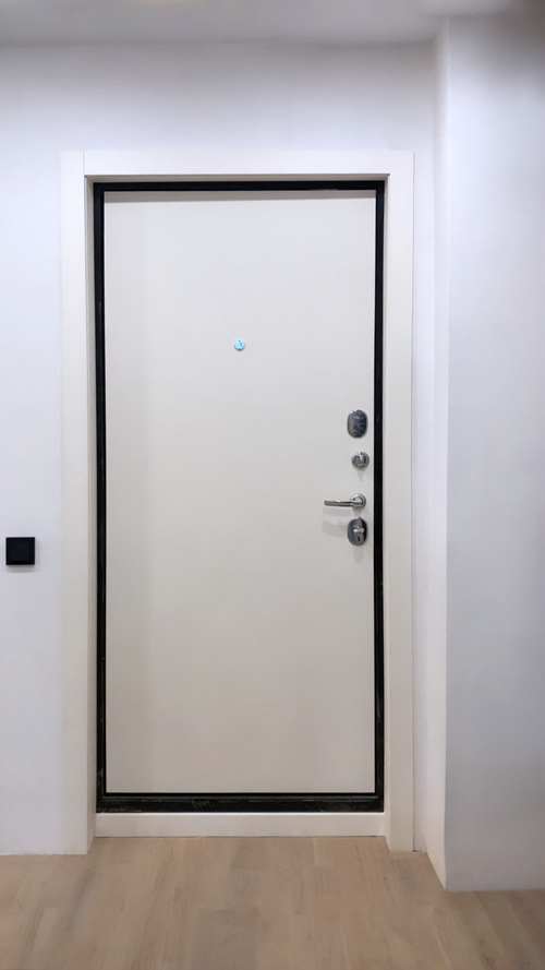 Стальная белая дверь Стальная белая дверь