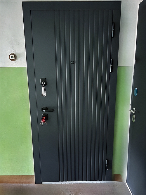 Квартирная дверь МДФ Квартирная дверь МДФ