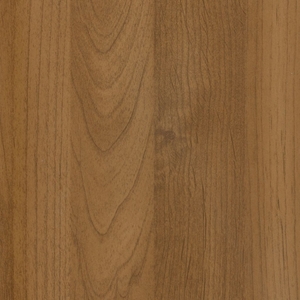 Ольха Планка Ольха Планка